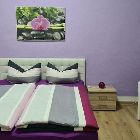 Fewo Kaiser Wohnung Stella เดรสเดน ภายนอก รูปภาพ